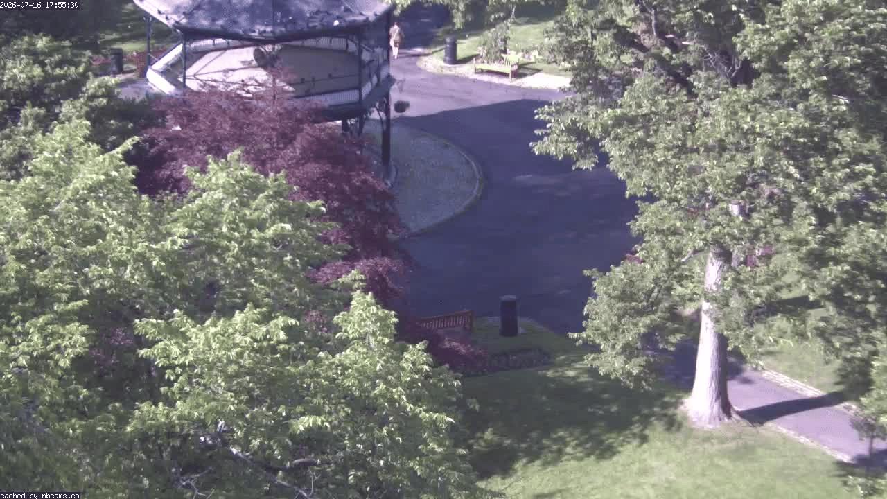 Web Cam image of Saint John (King's Square)