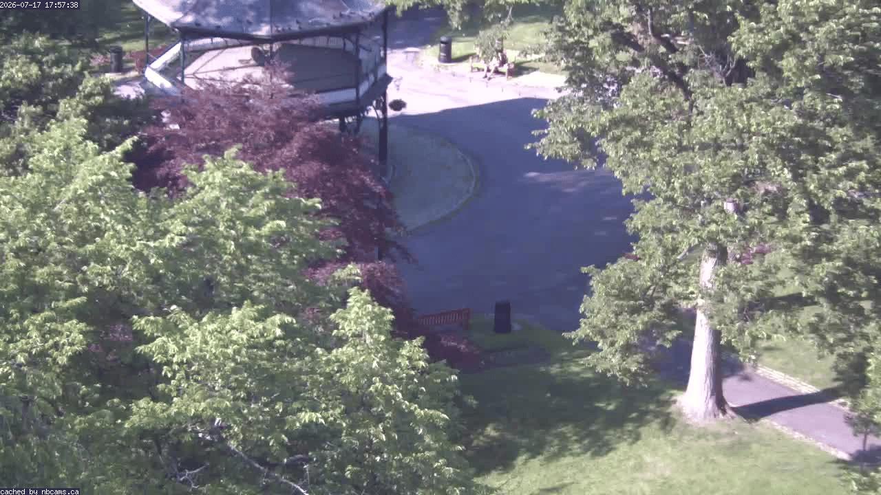 Web Cam image of Saint John (King's Square)