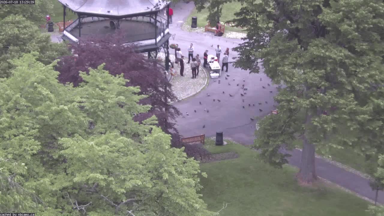 Web Cam image of Saint John (King's Square)