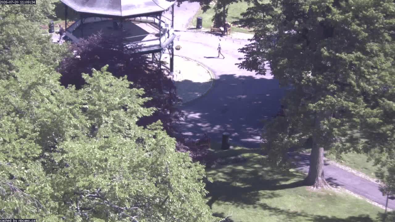 Web Cam image of Saint John (King's Square)