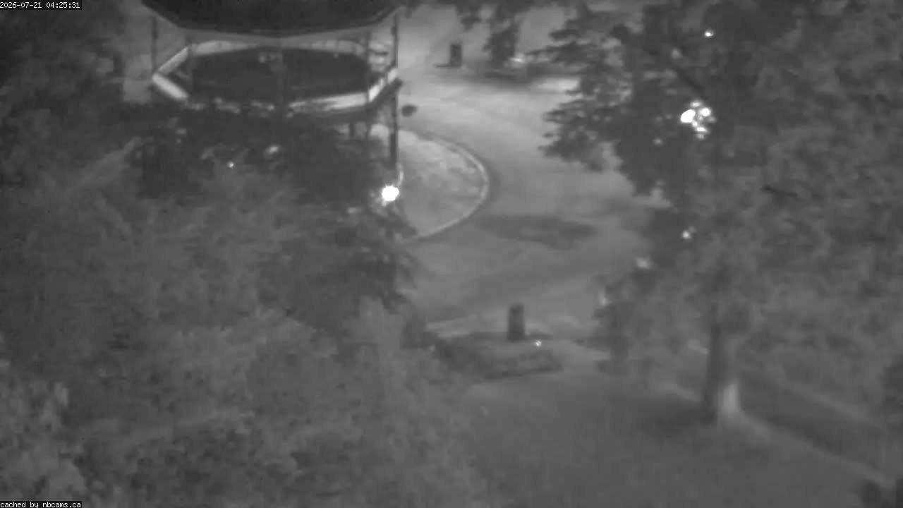 Web Cam image of Saint John (King's Square)
