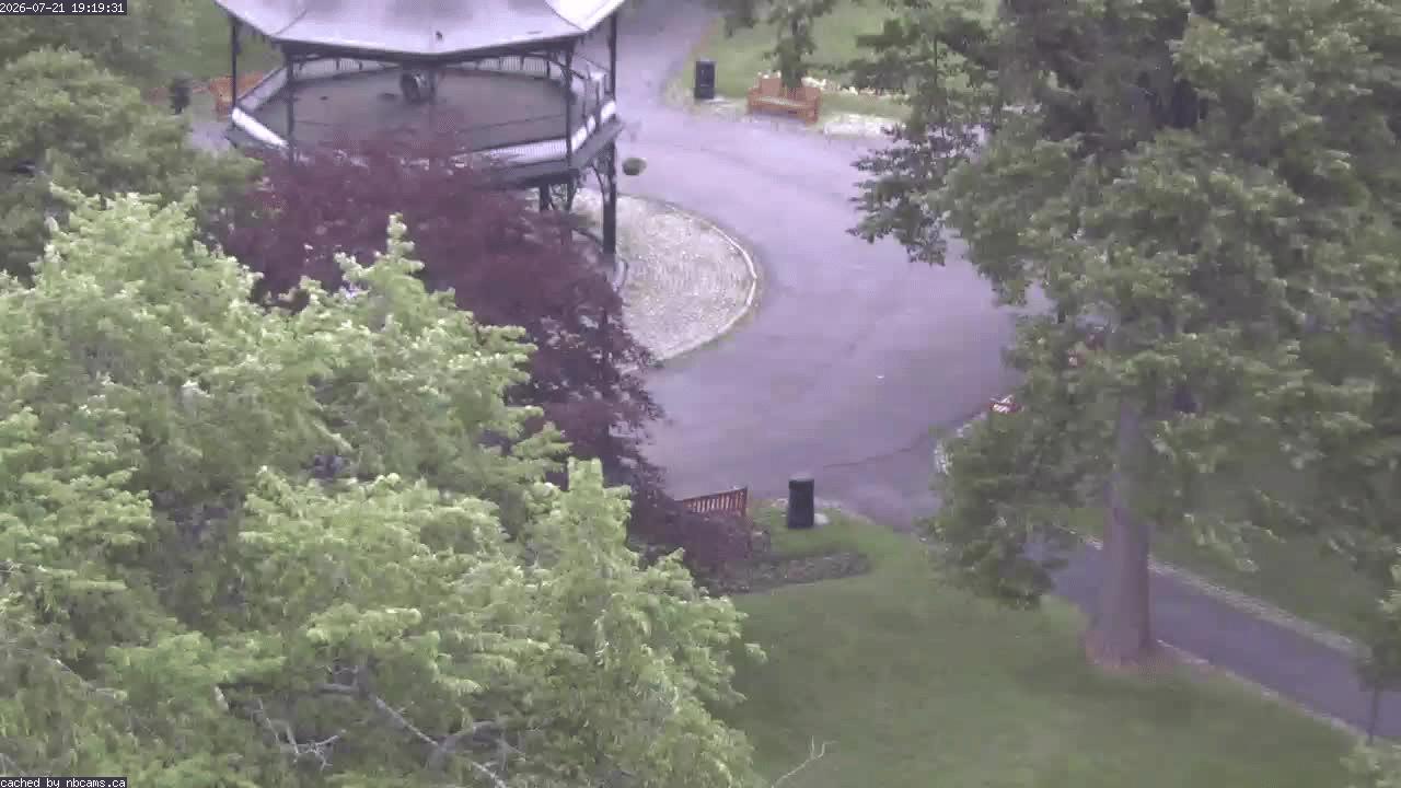 Web Cam image of Saint John (King's Square)