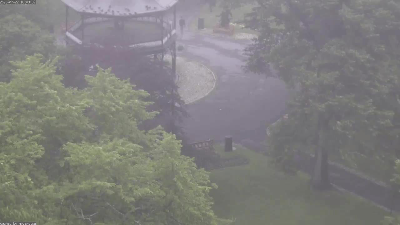 Web Cam image of Saint John (King's Square)