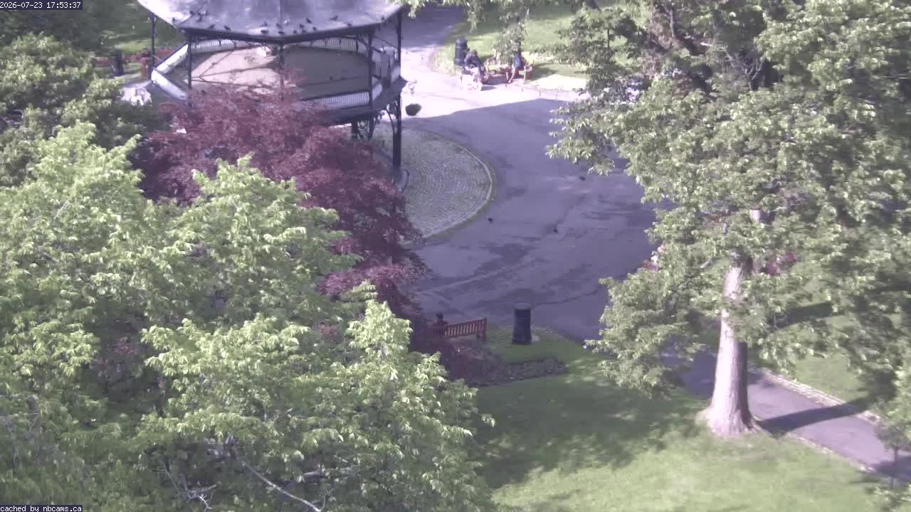 Web Cam image of Saint John (King's Square)