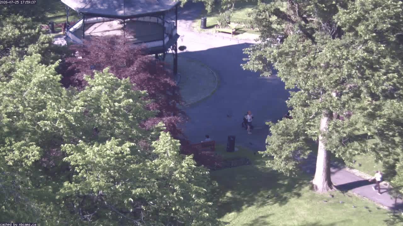 Web Cam image of Saint John (King's Square)