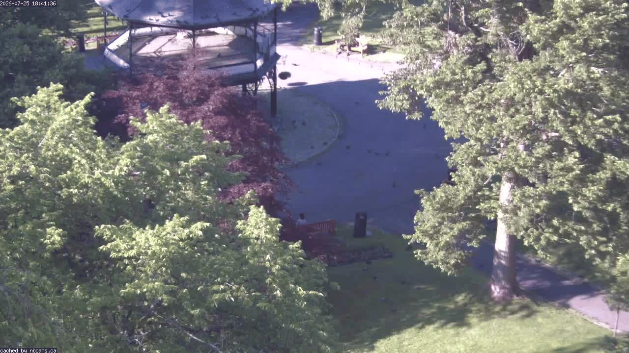 Web Cam image of Saint John (King's Square)