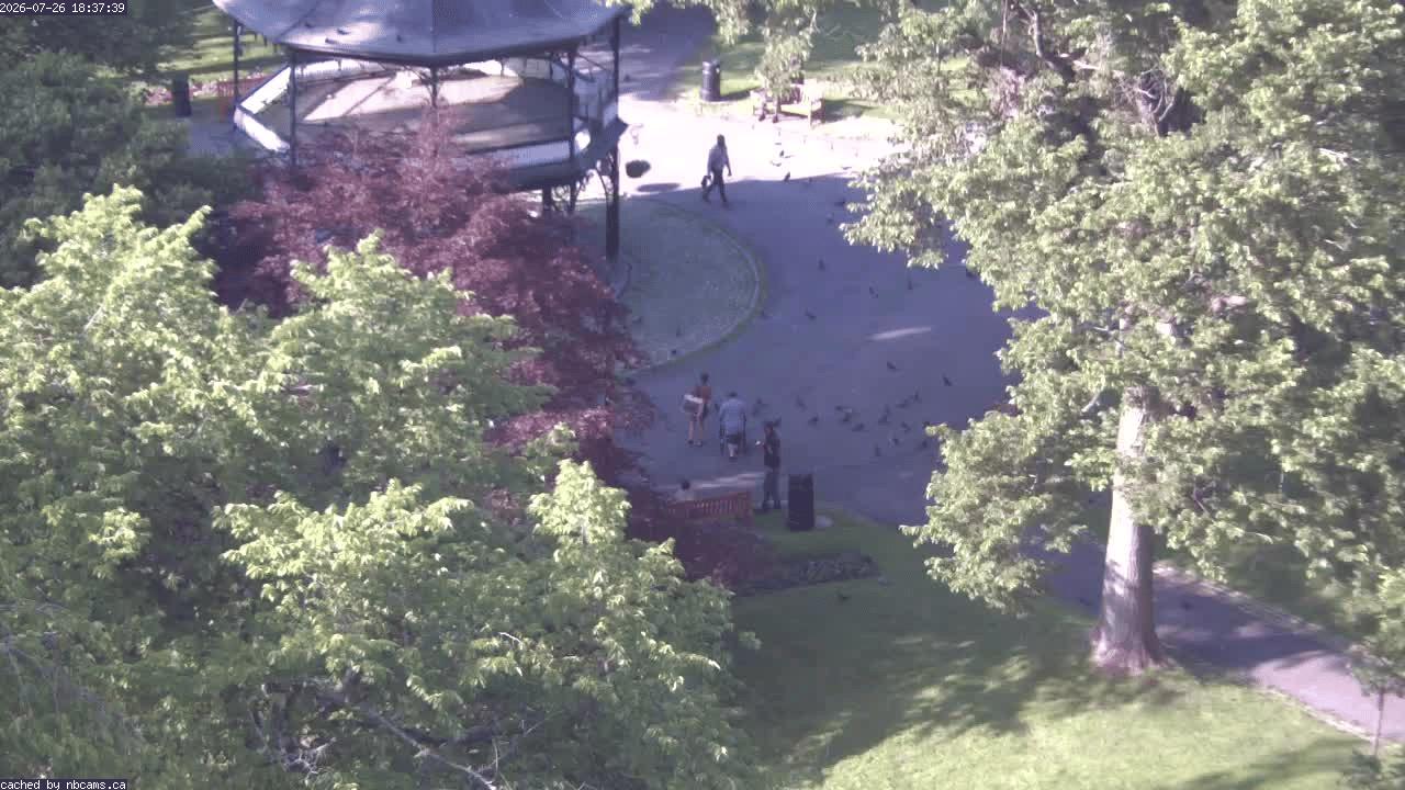 Web Cam image of Saint John (King's Square)