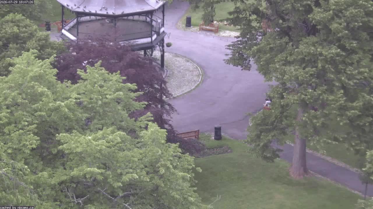 Web Cam image of Saint John (King's Square)