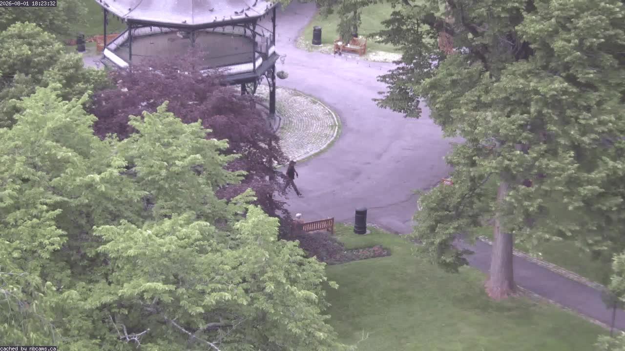 Web Cam image of Saint John (King's Square)