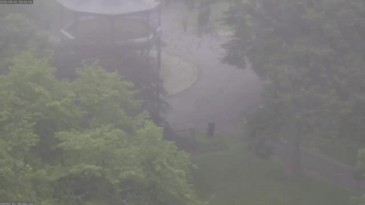 Web Cam image of Saint John (King's Square)