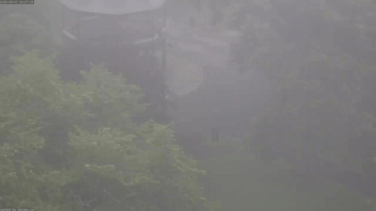 Web Cam image of Saint John (King's Square)