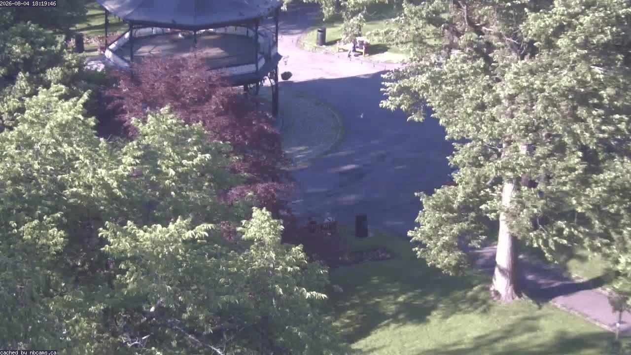 Web Cam image of Saint John (King's Square)