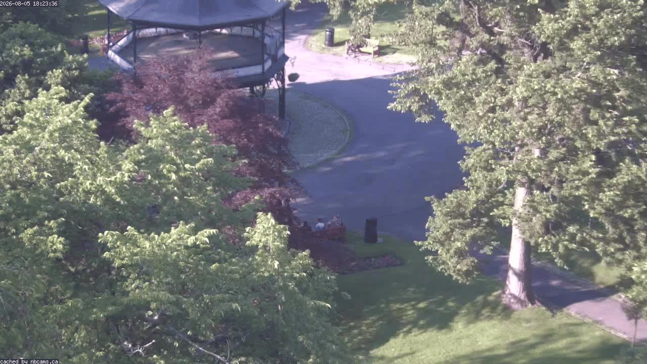 Web Cam image of Saint John (King's Square)