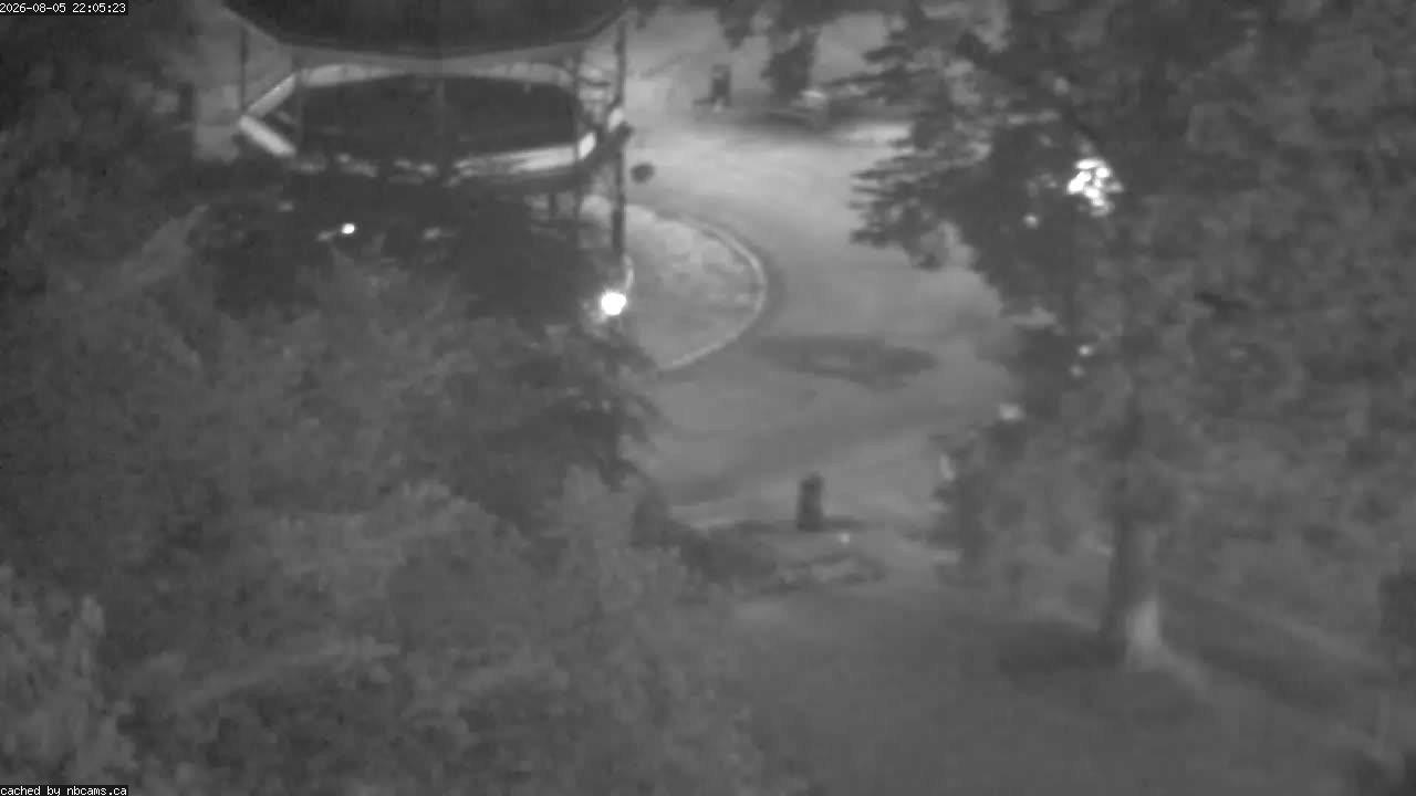 Web Cam image of Saint John (King's Square)
