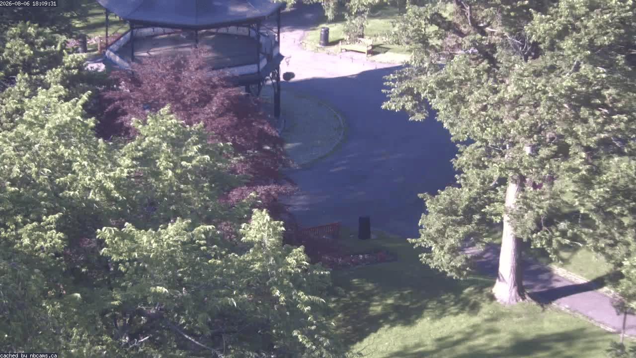 Web Cam image of Saint John (King's Square)