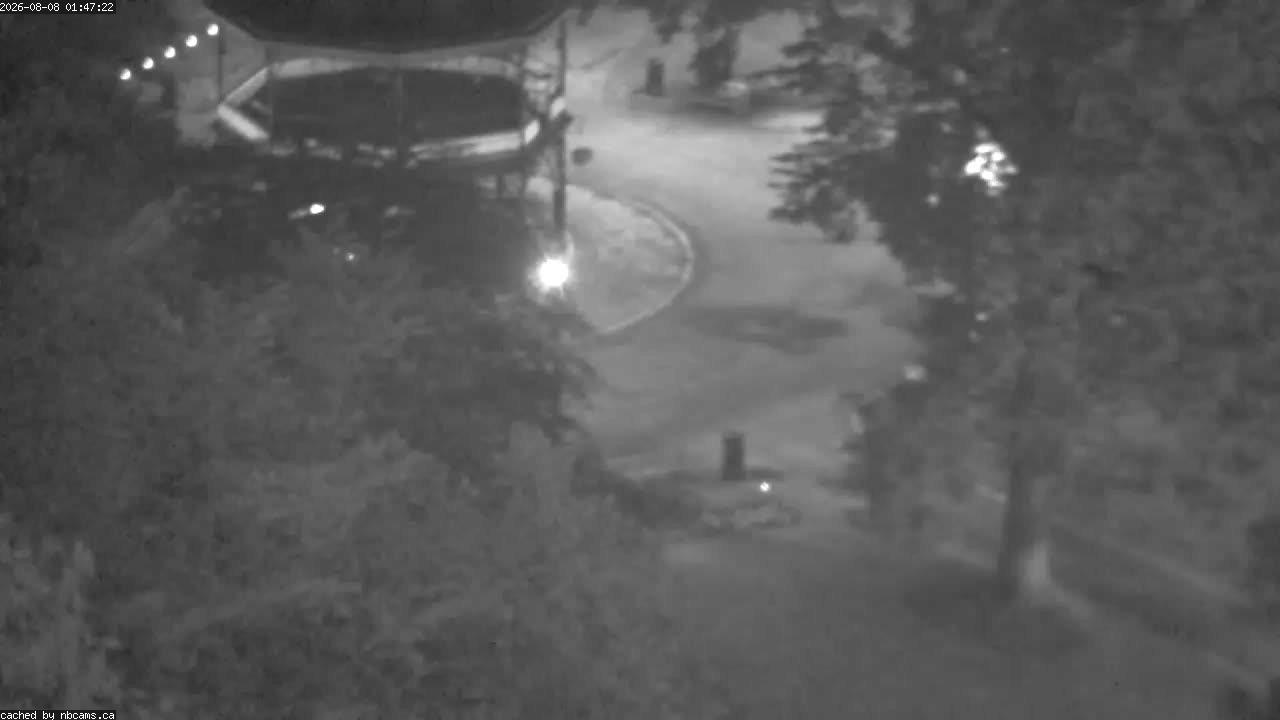 Web Cam image of Saint John (King's Square)