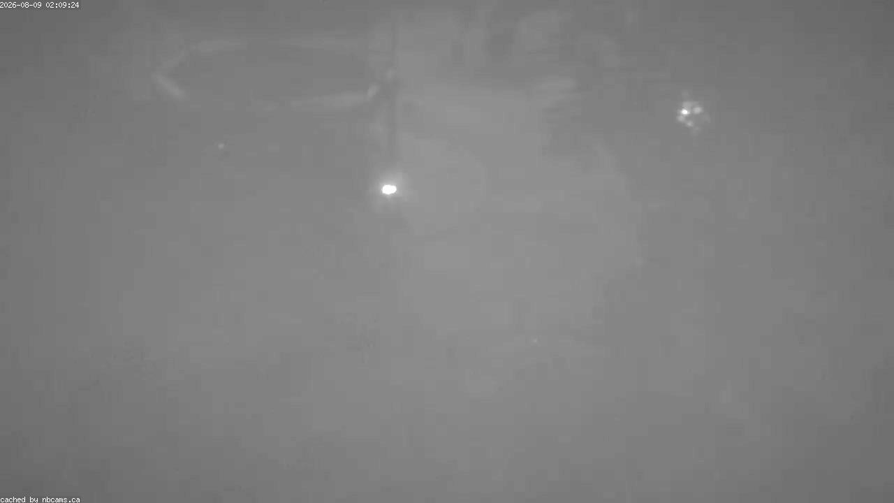 Web Cam image of Saint John (King's Square)
