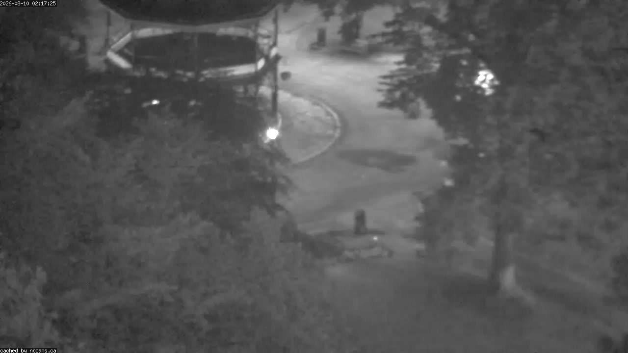 Web Cam image of Saint John (King's Square)