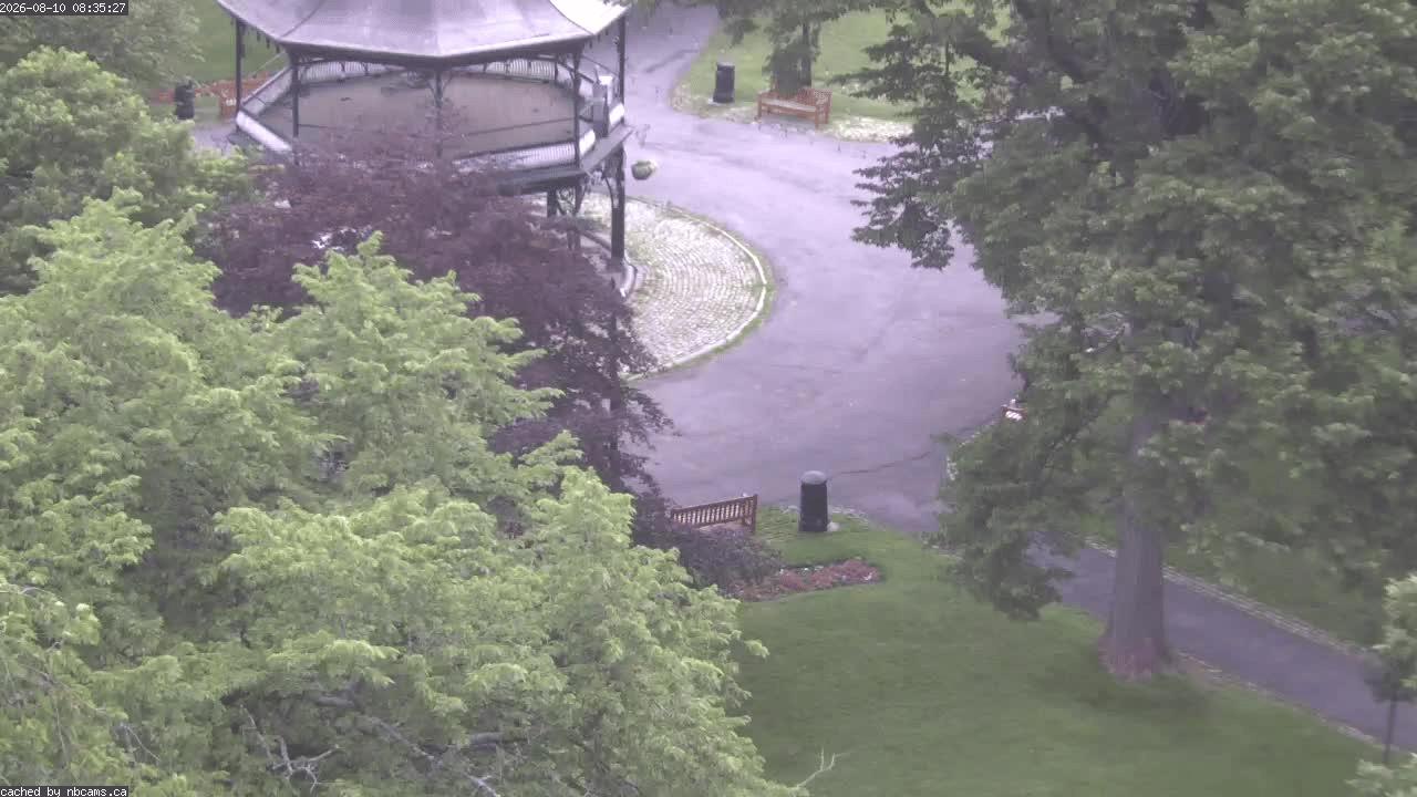 Web Cam image of Saint John (King's Square)