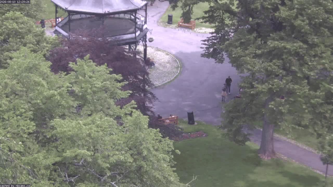 Web Cam image of Saint John (King's Square)