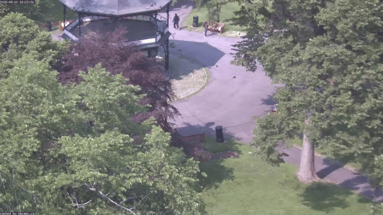 Web Cam image of Saint John (King's Square)