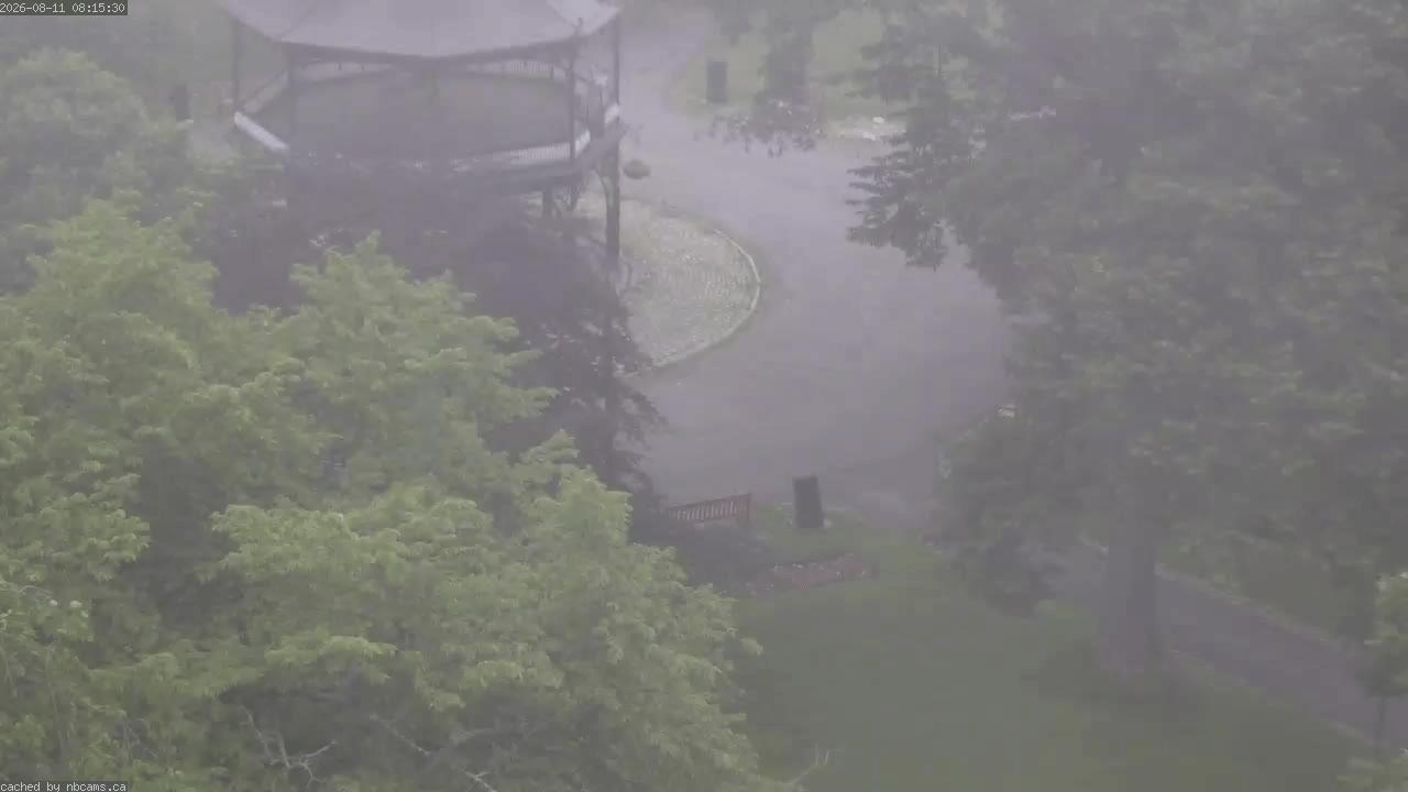 Web Cam image of Saint John (King's Square)