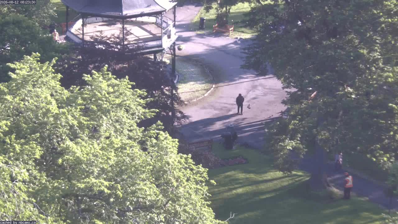 Web Cam image of Saint John (King's Square)