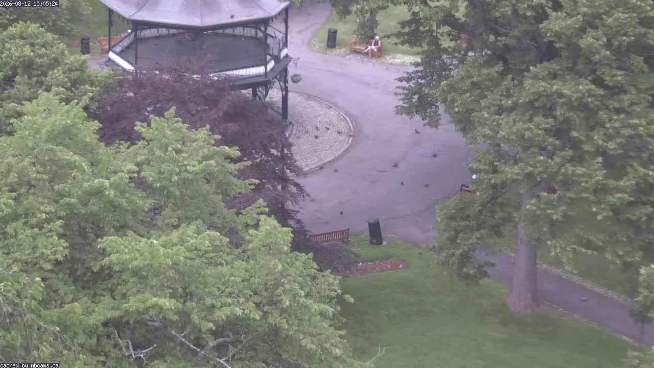 Web Cam image of Saint John (King's Square)
