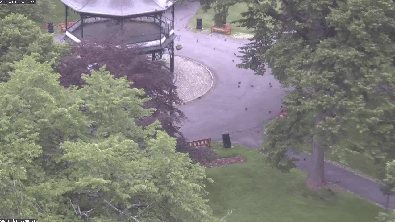 Web Cam image of Saint John (King's Square)