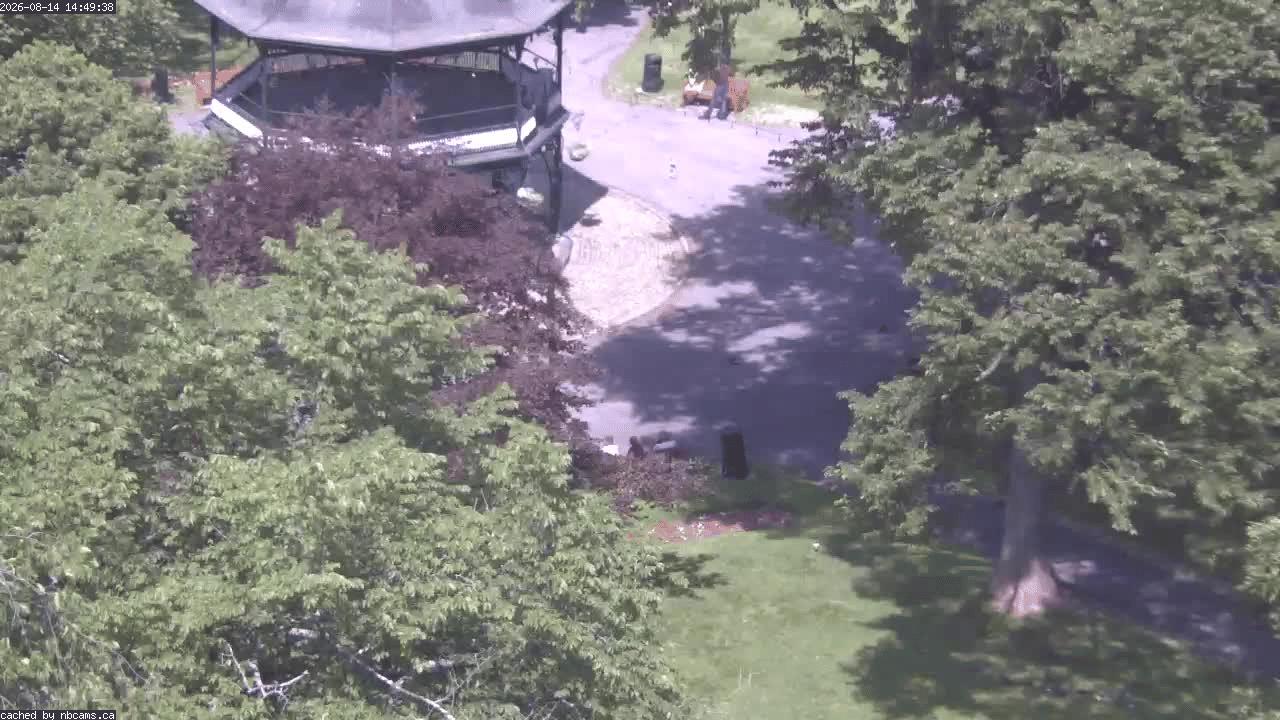 Web Cam image of Saint John (King's Square)