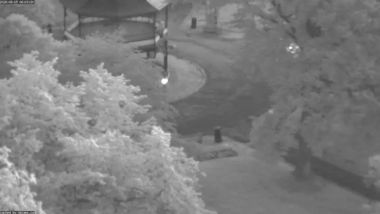 Web Cam image of Saint John (King's Square)