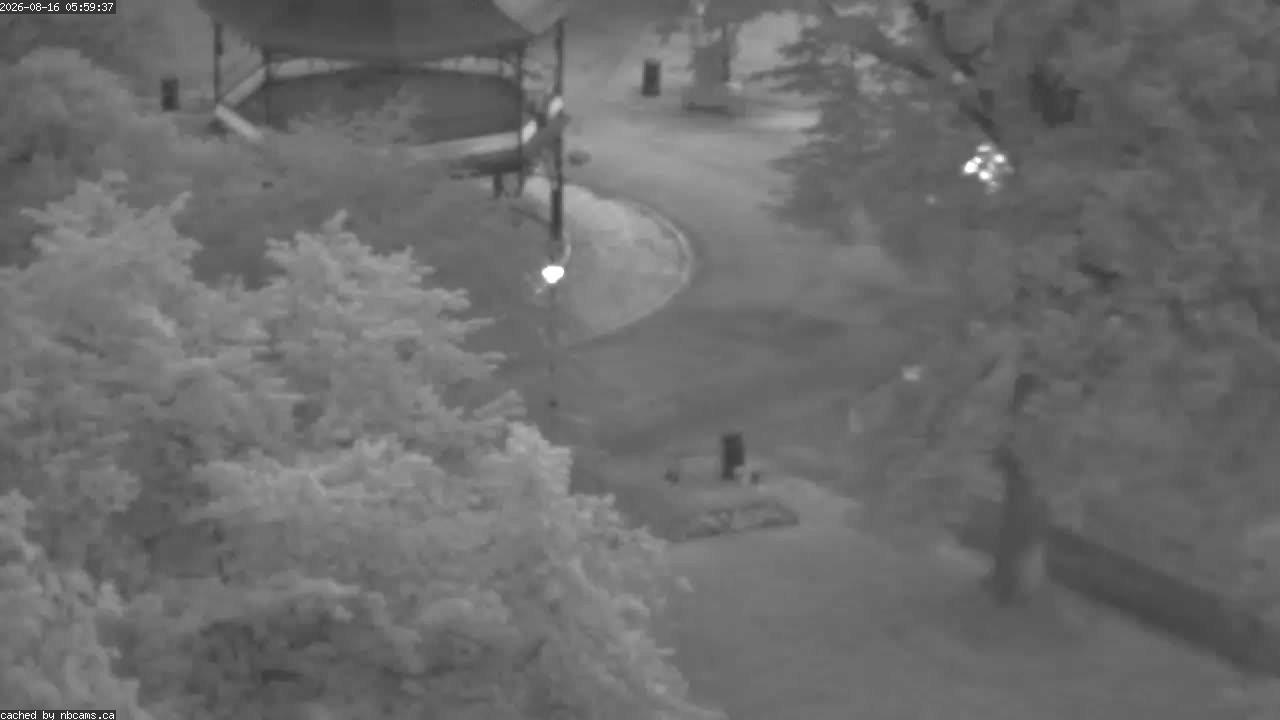 Web Cam image of Saint John (King's Square)