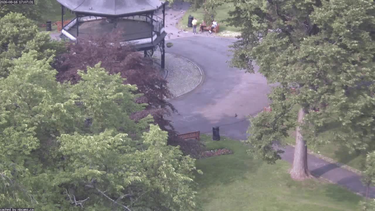 Web Cam image of Saint John (King's Square)