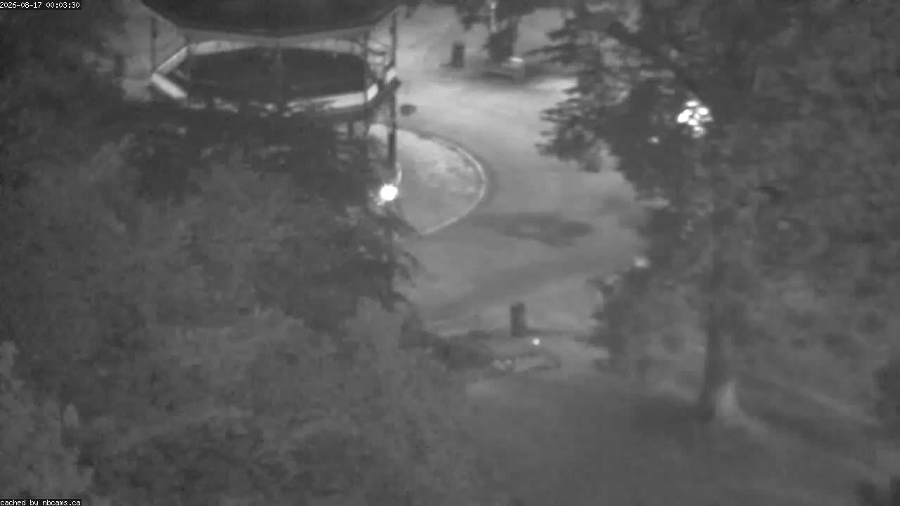 Web Cam image of Saint John (King's Square)