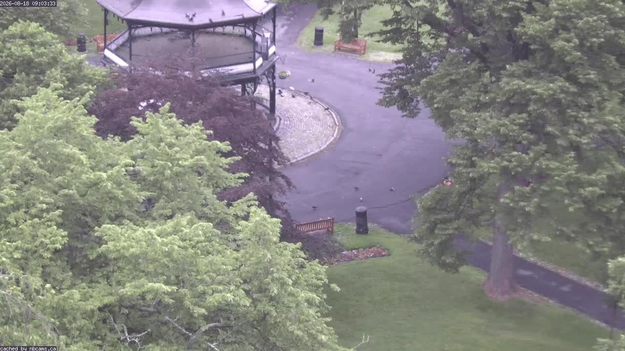 Web Cam image of Saint John (King's Square)