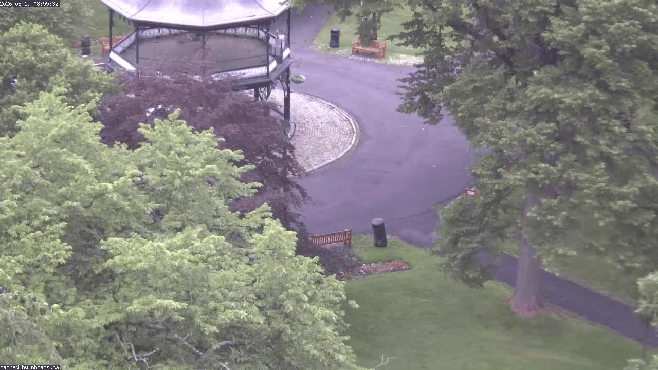 Web Cam image of Saint John (King's Square)
