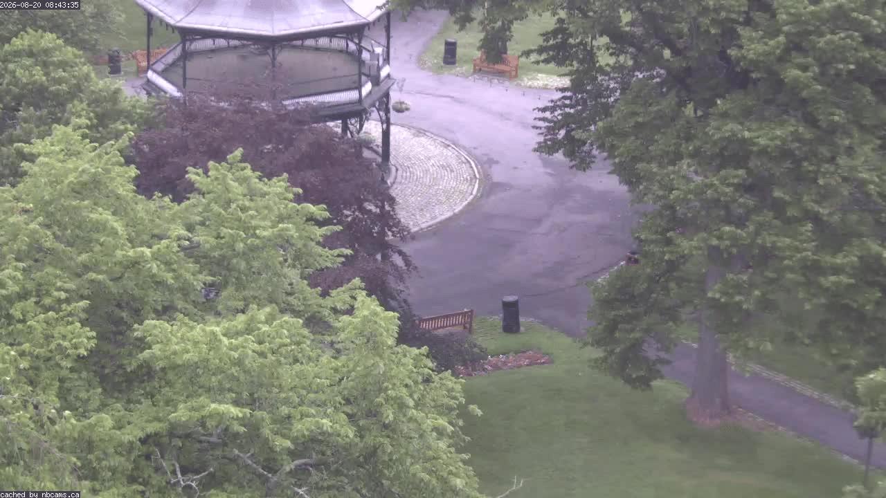 Web Cam image of Saint John (King's Square)