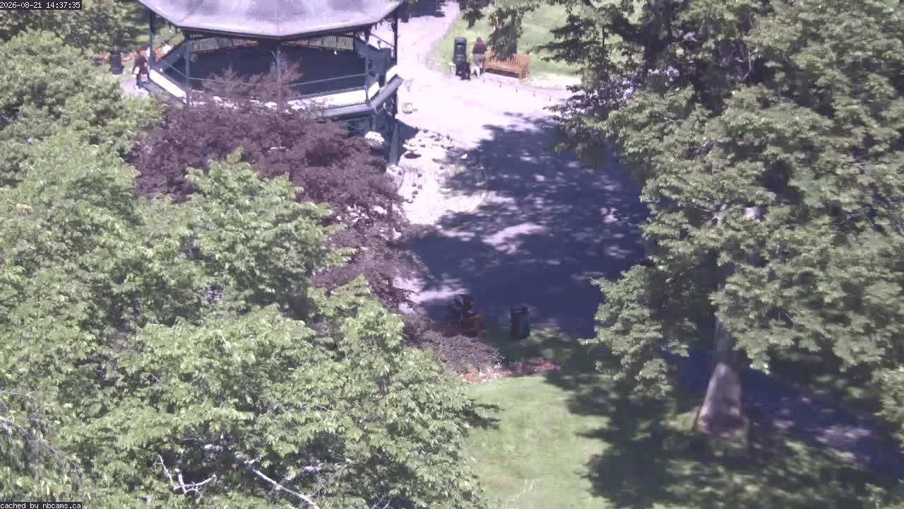 Web Cam image of Saint John (King's Square)