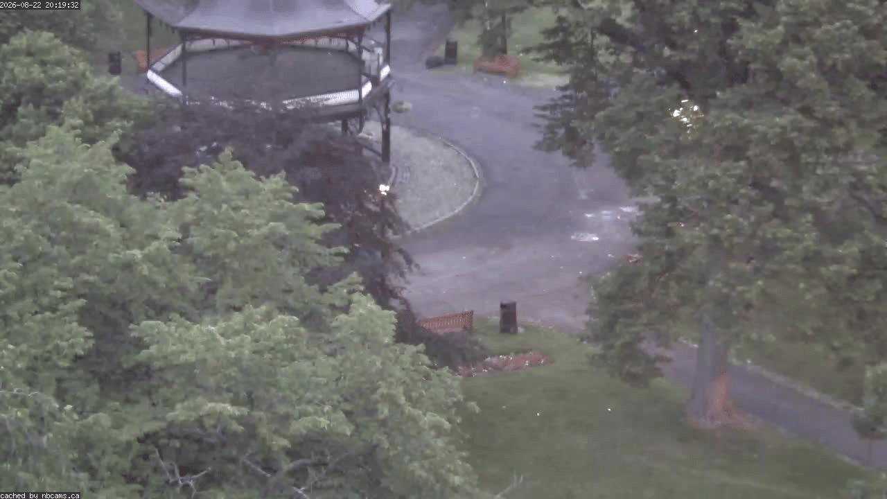 Web Cam image of Saint John (King's Square)