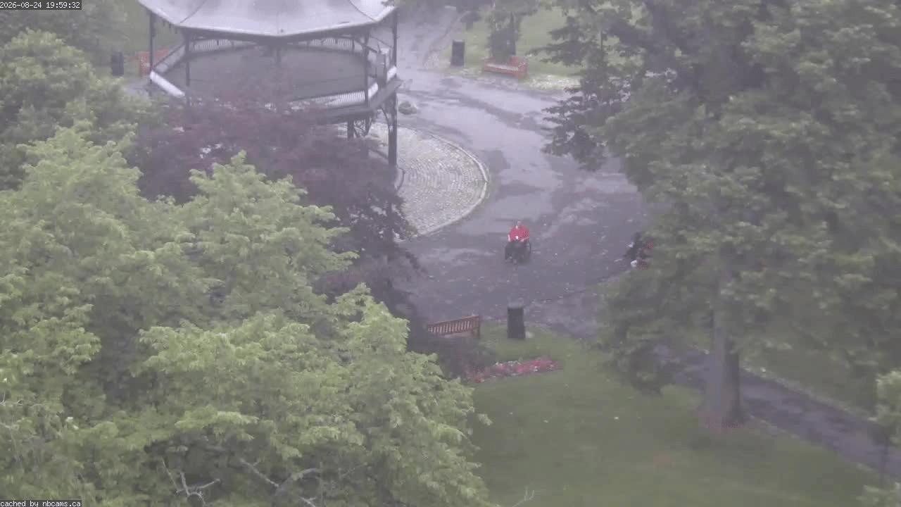 Web Cam image of Saint John (King's Square)