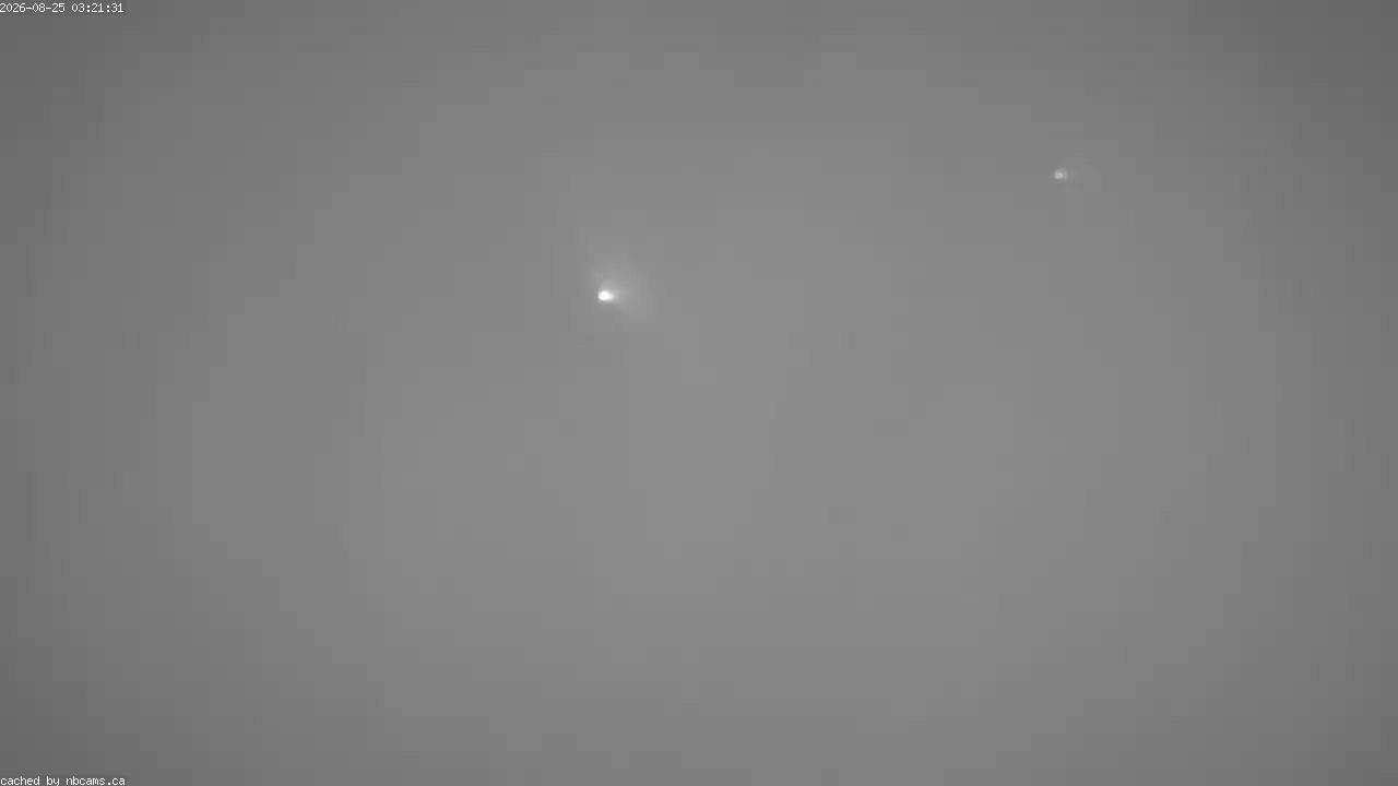Web Cam image of Saint John (King's Square)