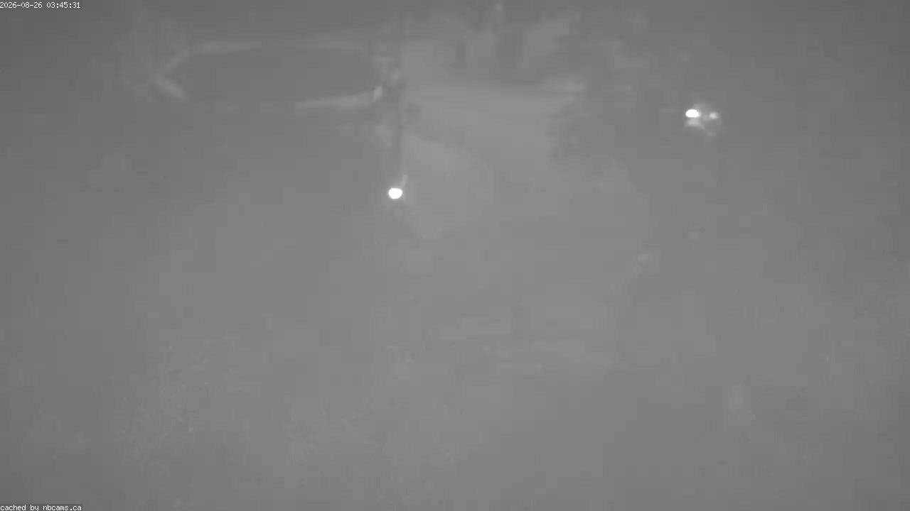 Web Cam image of Saint John (King's Square)