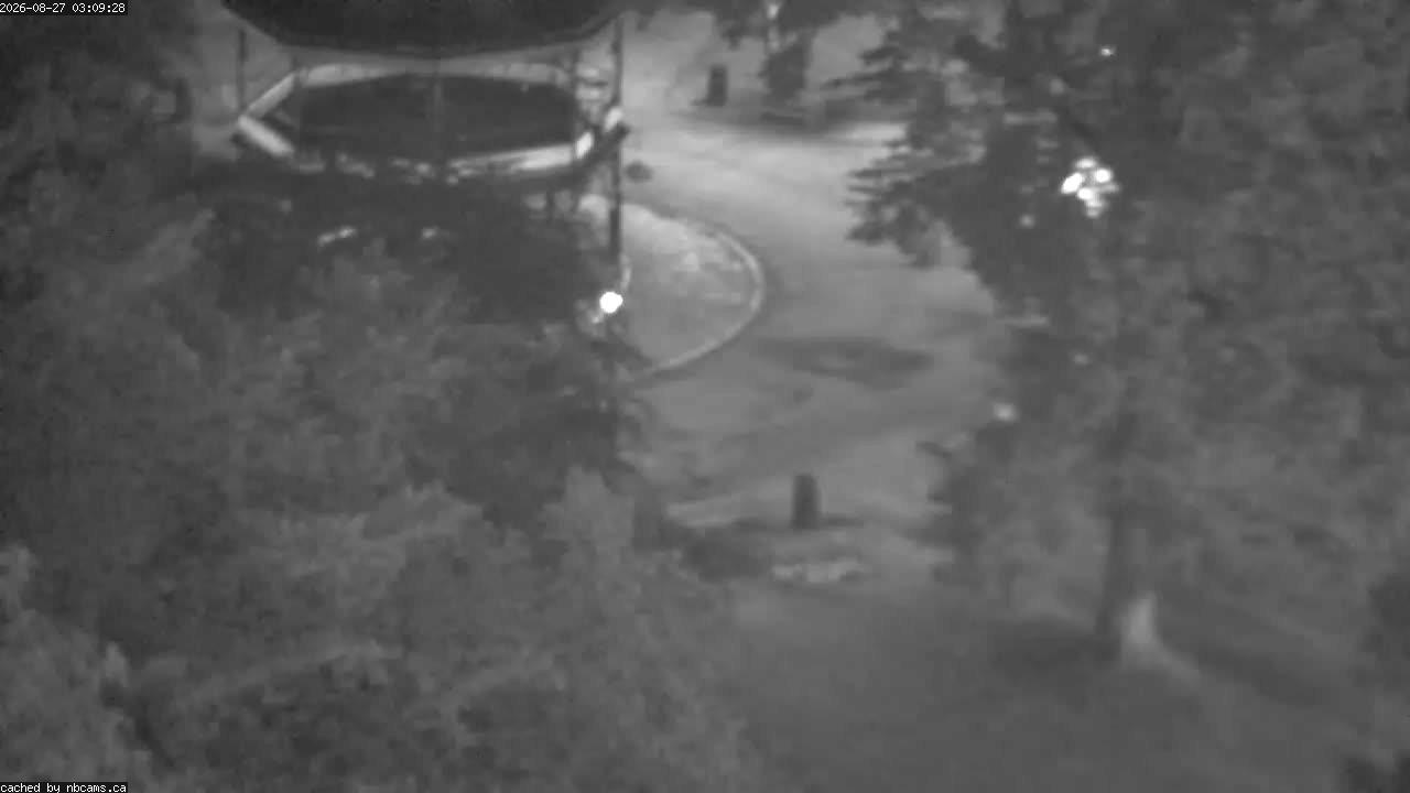 Web Cam image of Saint John (King's Square)