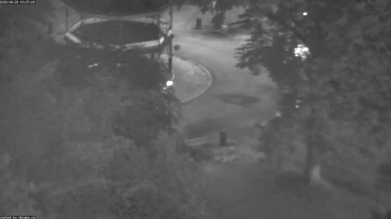Web Cam image of Saint John (King's Square)
