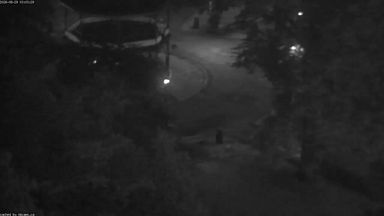 Web Cam image of Saint John (King's Square)