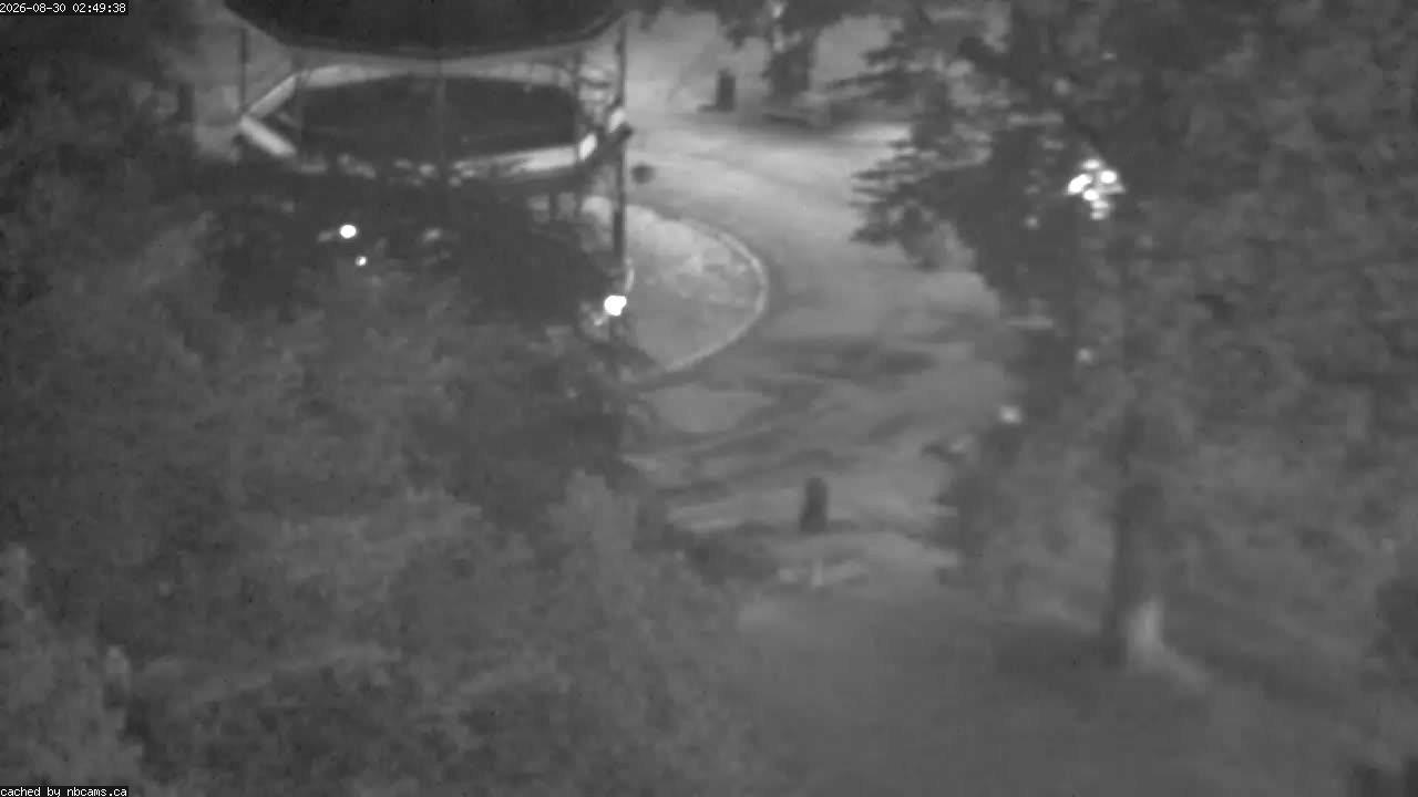 Web Cam image of Saint John (King's Square)