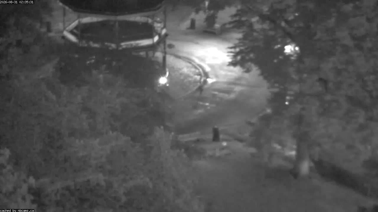 Web Cam image of Saint John (King's Square)