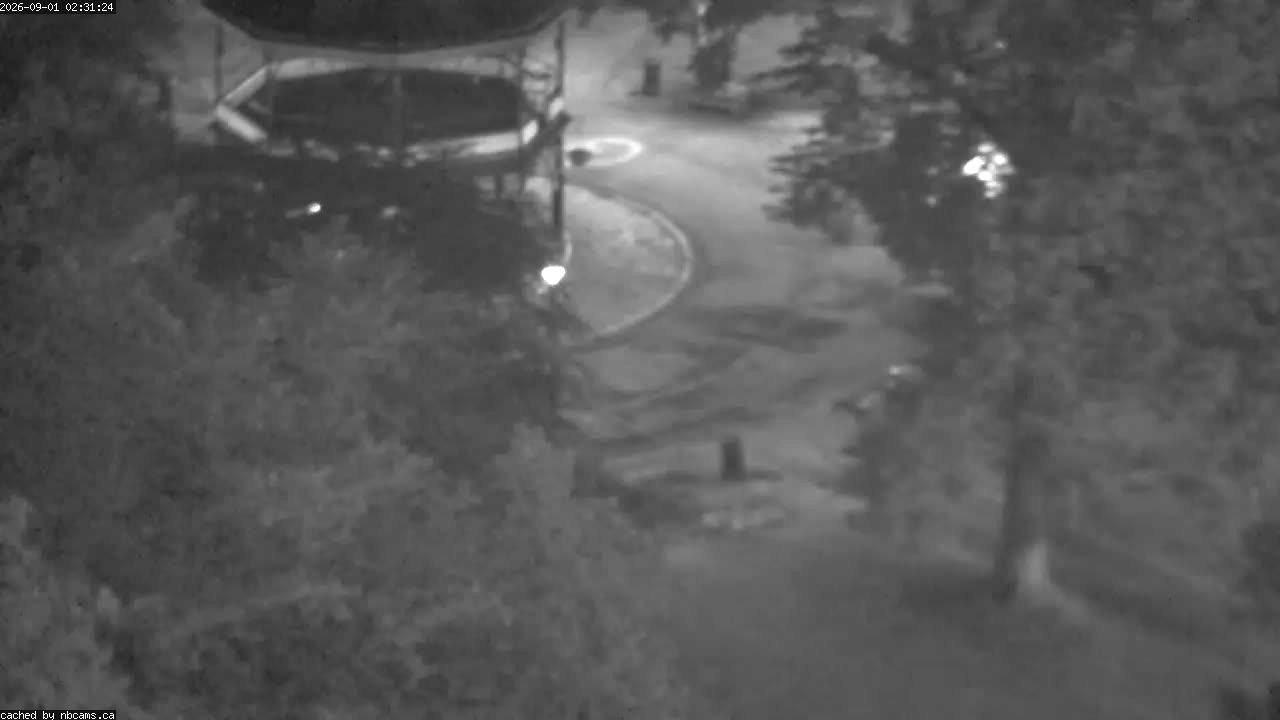 Web Cam image of Saint John (King's Square)