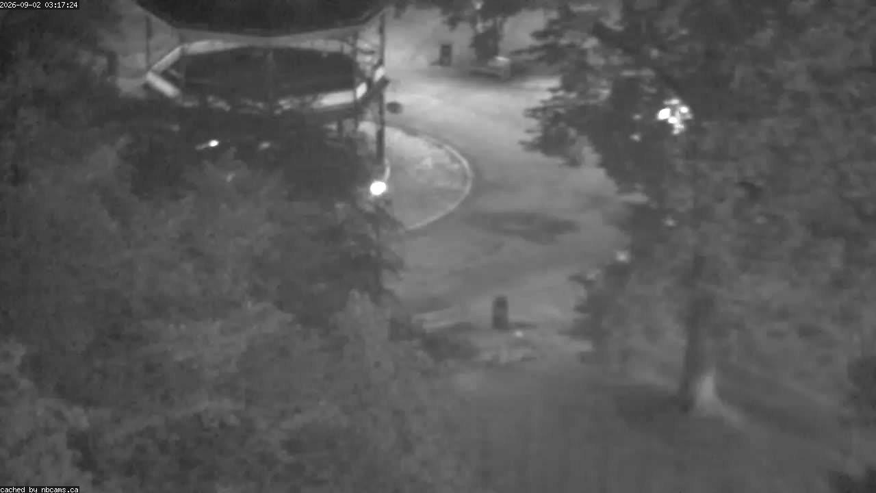 Web Cam image of Saint John (King's Square)