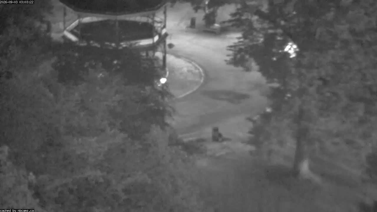 Web Cam image of Saint John (King's Square)